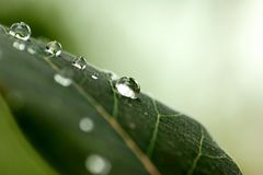 Nach dem Regen