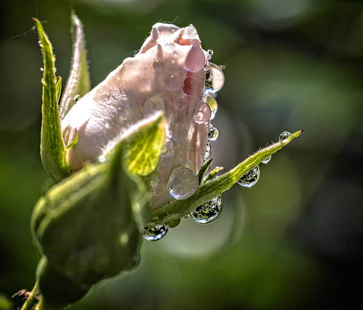 Nach dem Regen