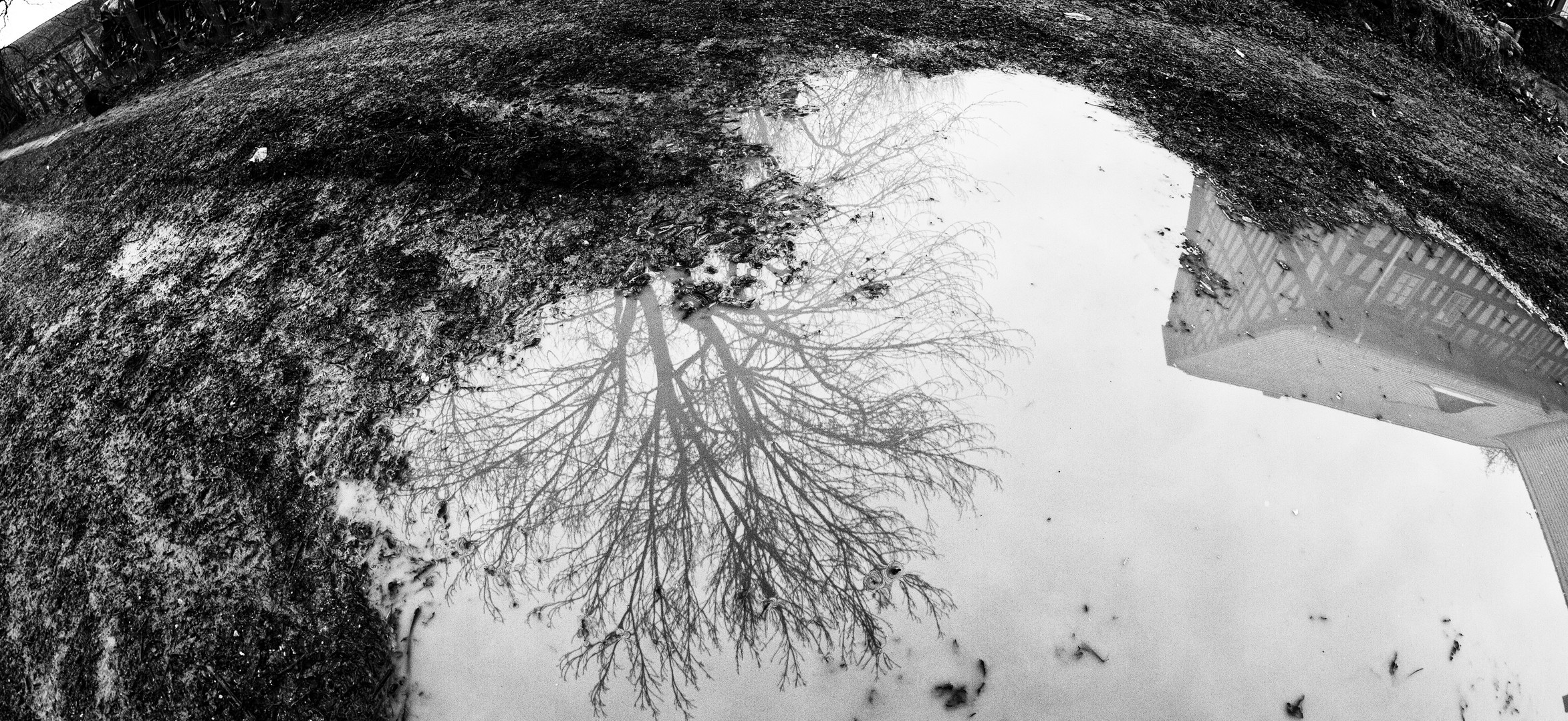 Nach dem Regen