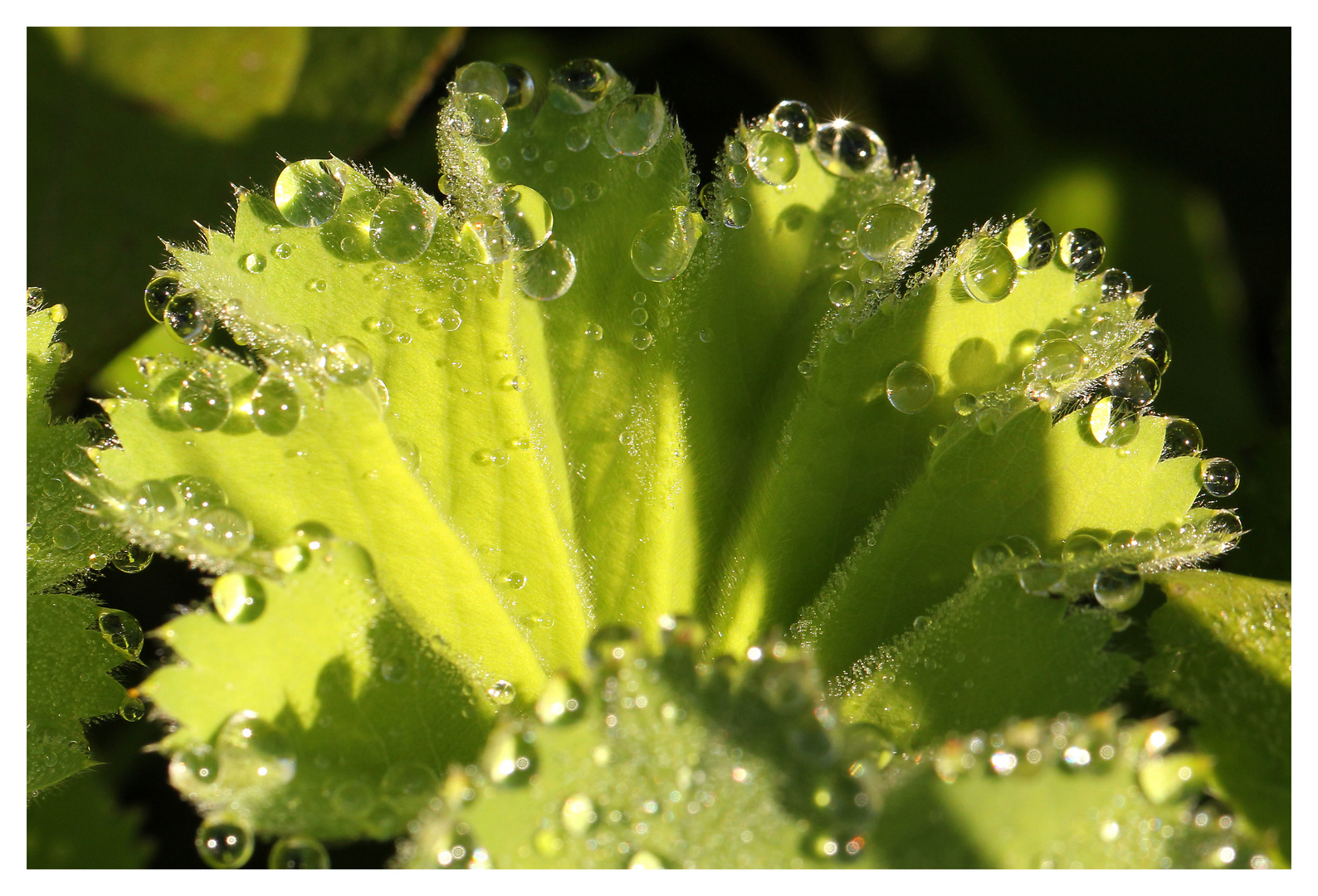 Nach dem Regen