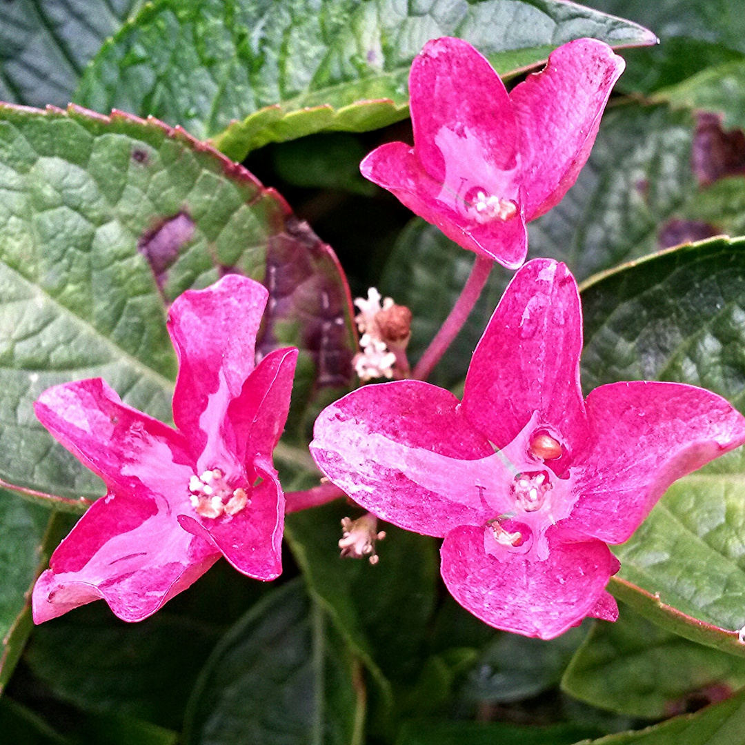 ...nach dem Regen