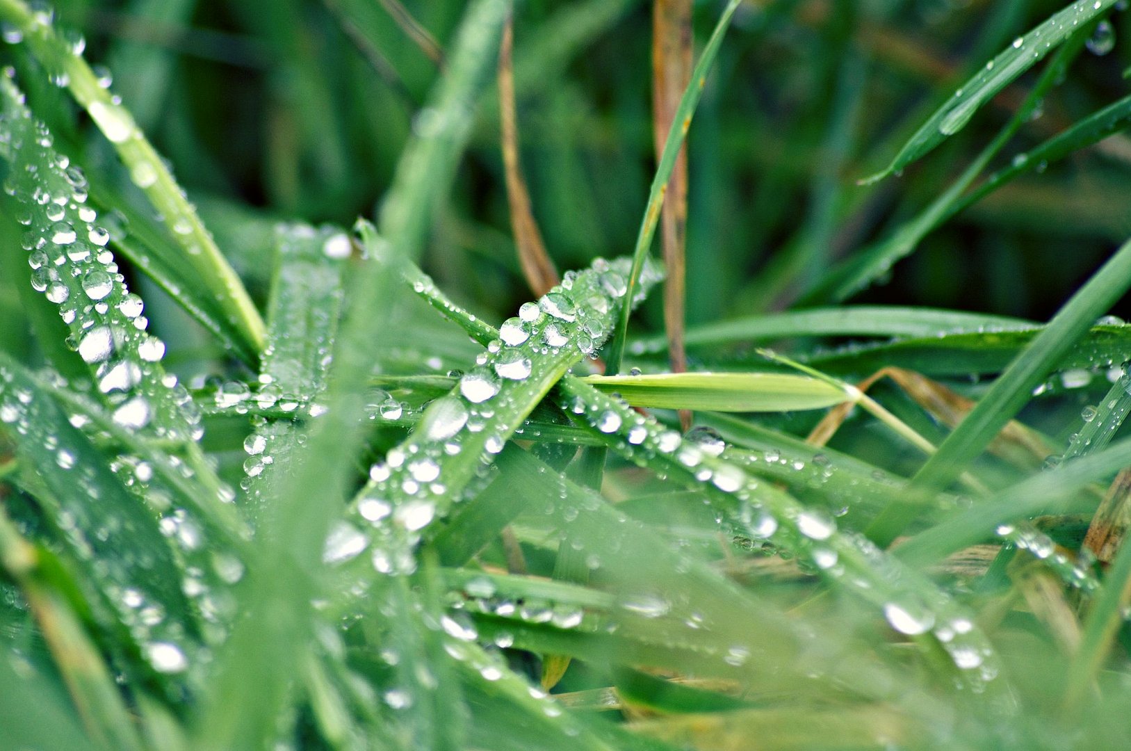 Nach dem Regen