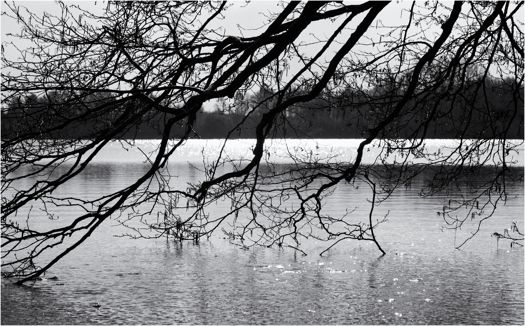 nach dem Regen