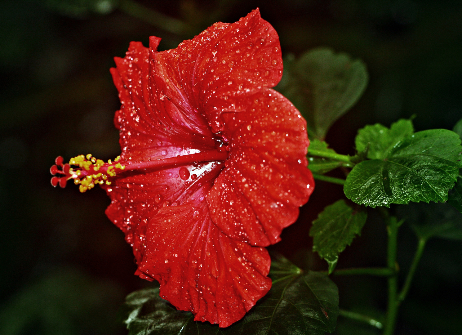 Nach dem Regen