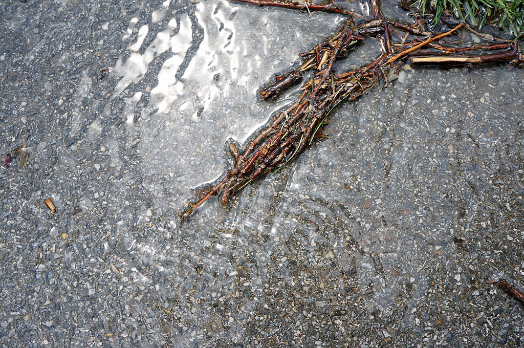 nach dem Regen