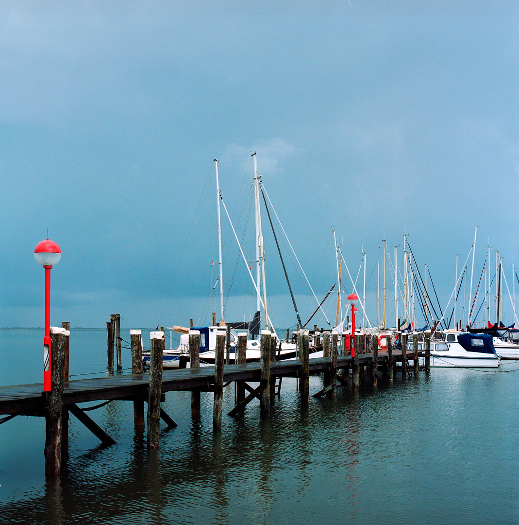 Nach dem Regen