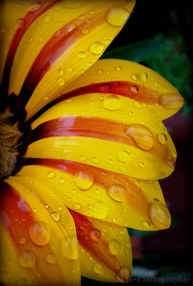 Nach dem Regen