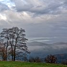 Nach dem Regen