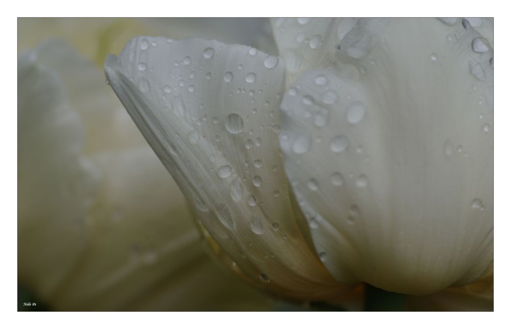 Nach dem Regen