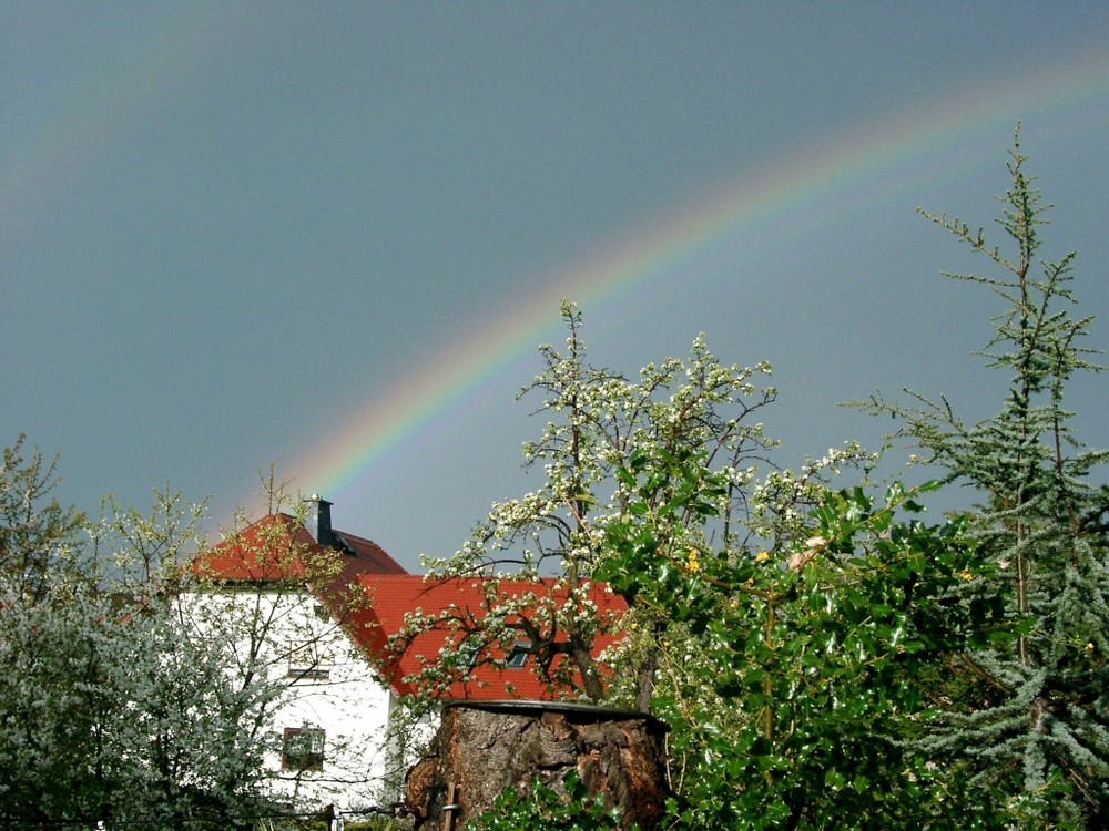 ...nach dem Regen