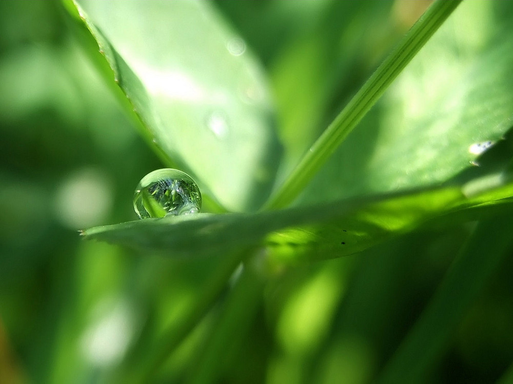 Nach dem Regen