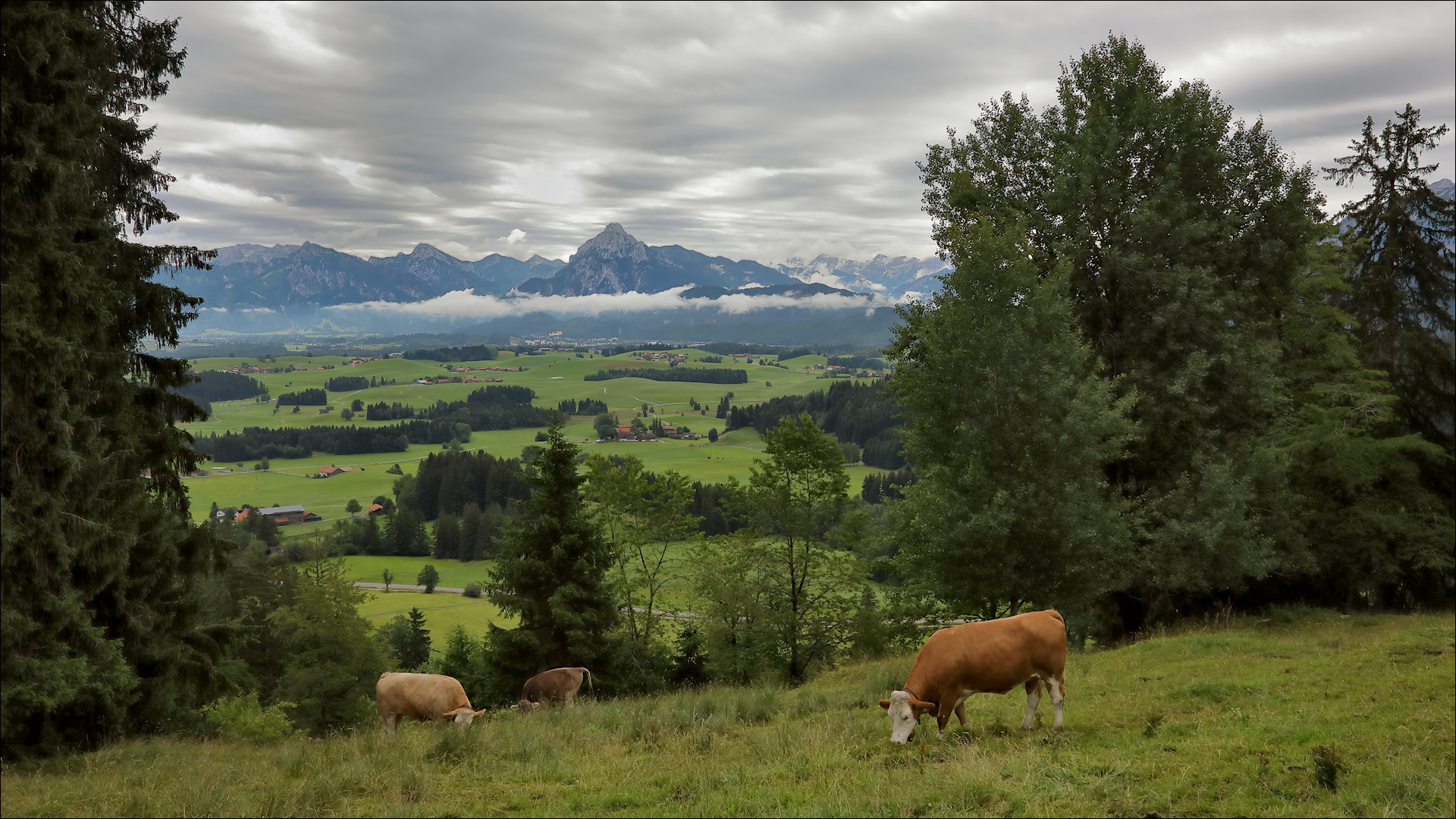 Nach dem Regen ...