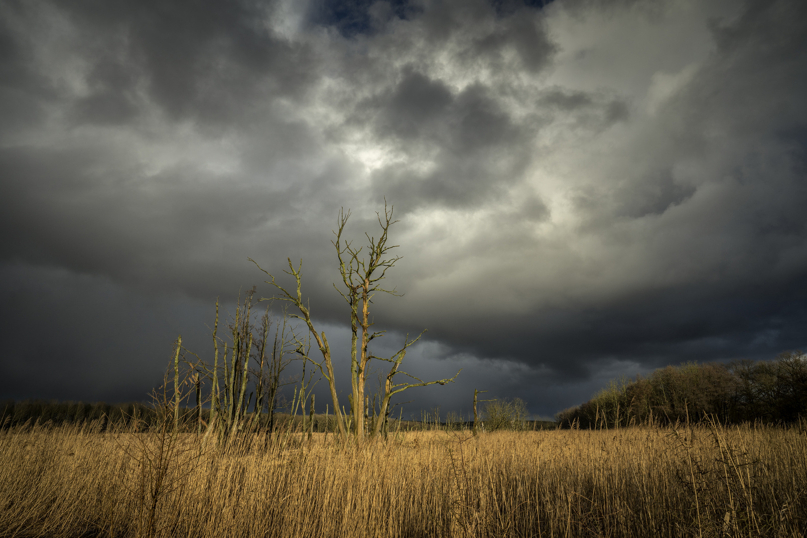 nach dem Regen