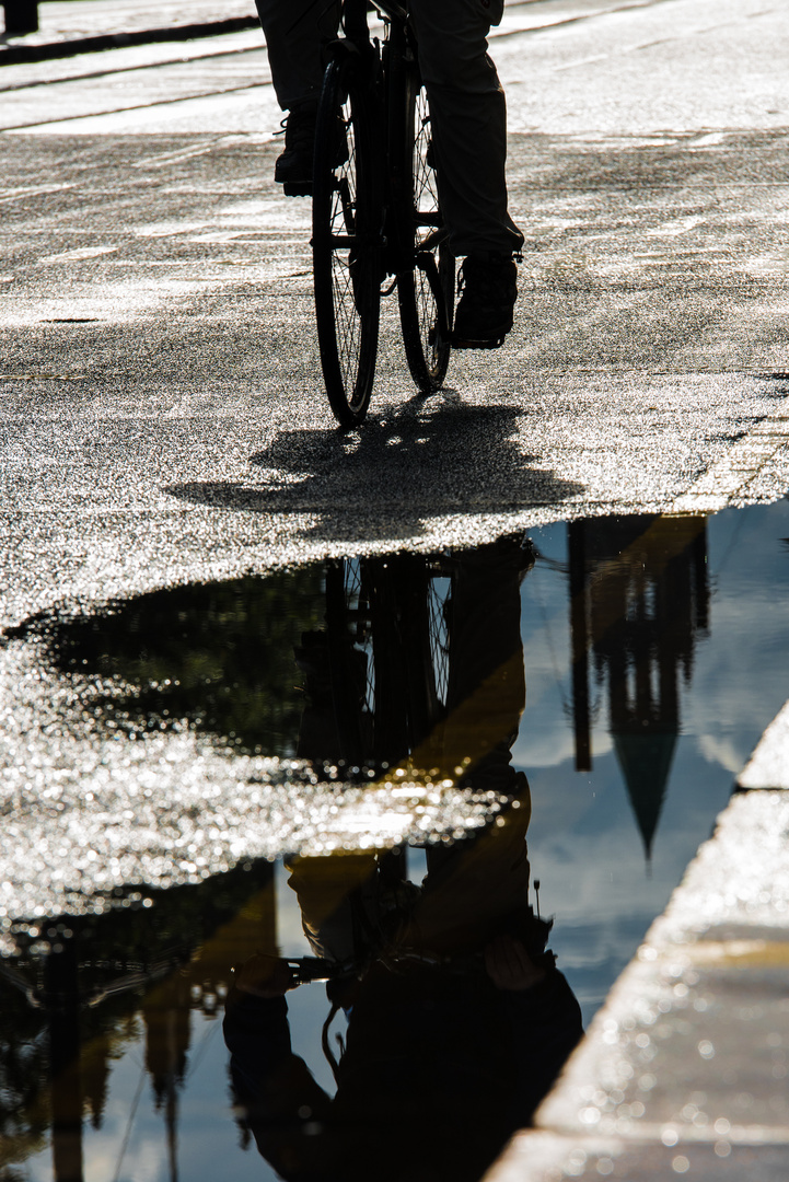 Nach dem Regen