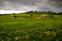 Nach dem Regen...