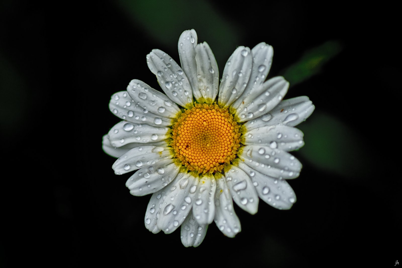 nach dem regen