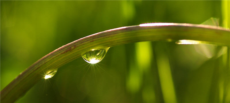 Nach dem Regen ...