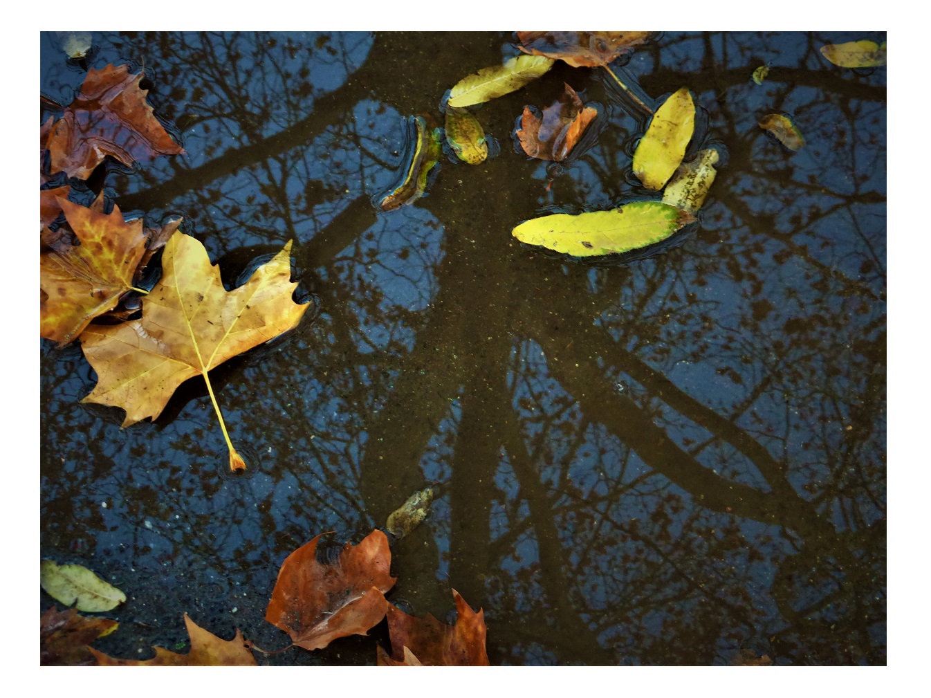 Nach dem Regen