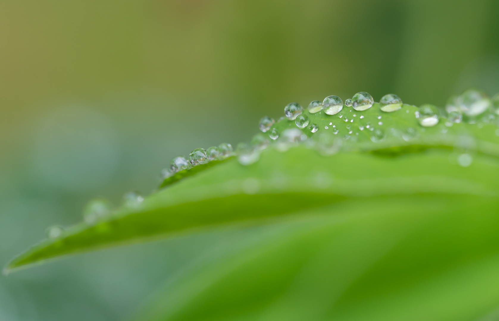 Nach dem Regen