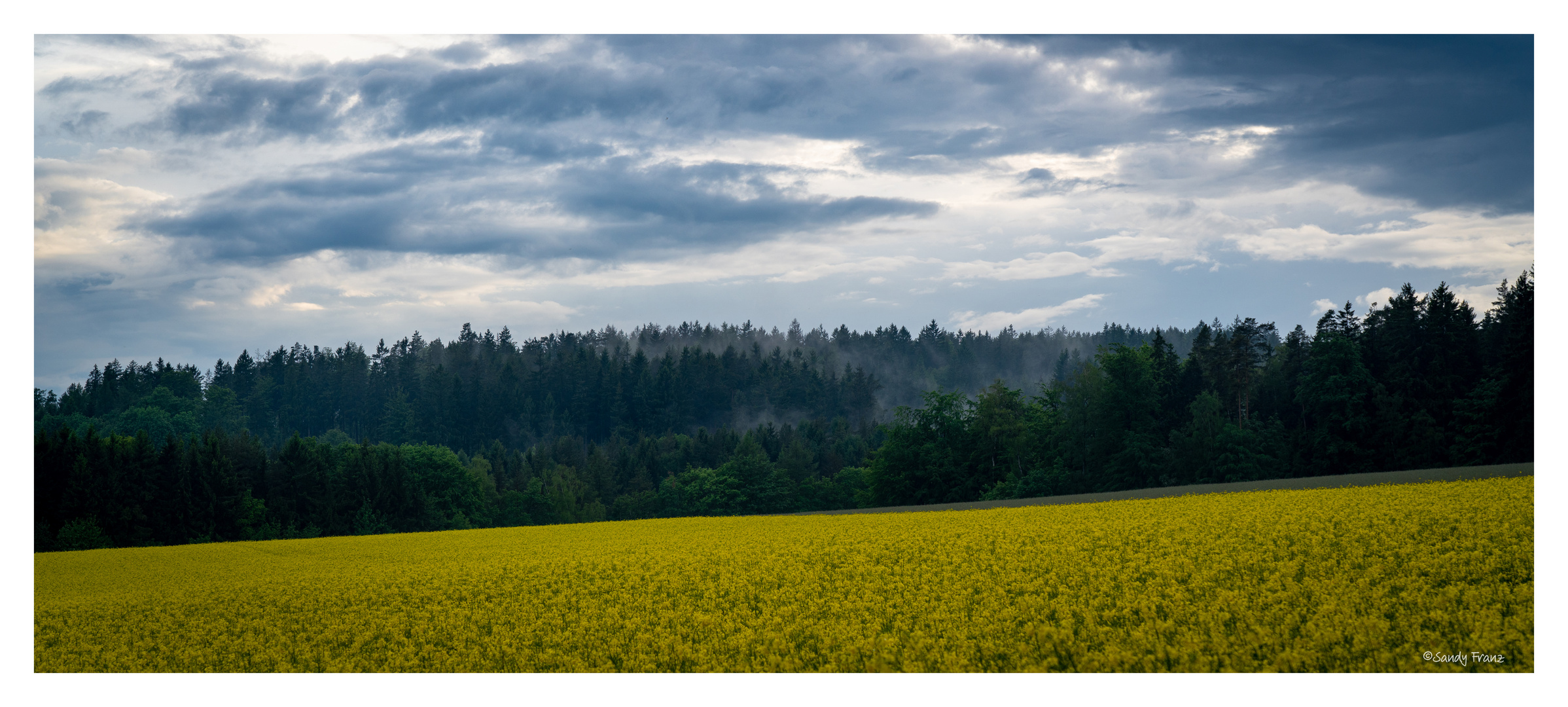 Nach dem Regen