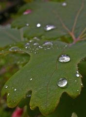 Nach dem Regen