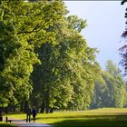 nach dem Regen