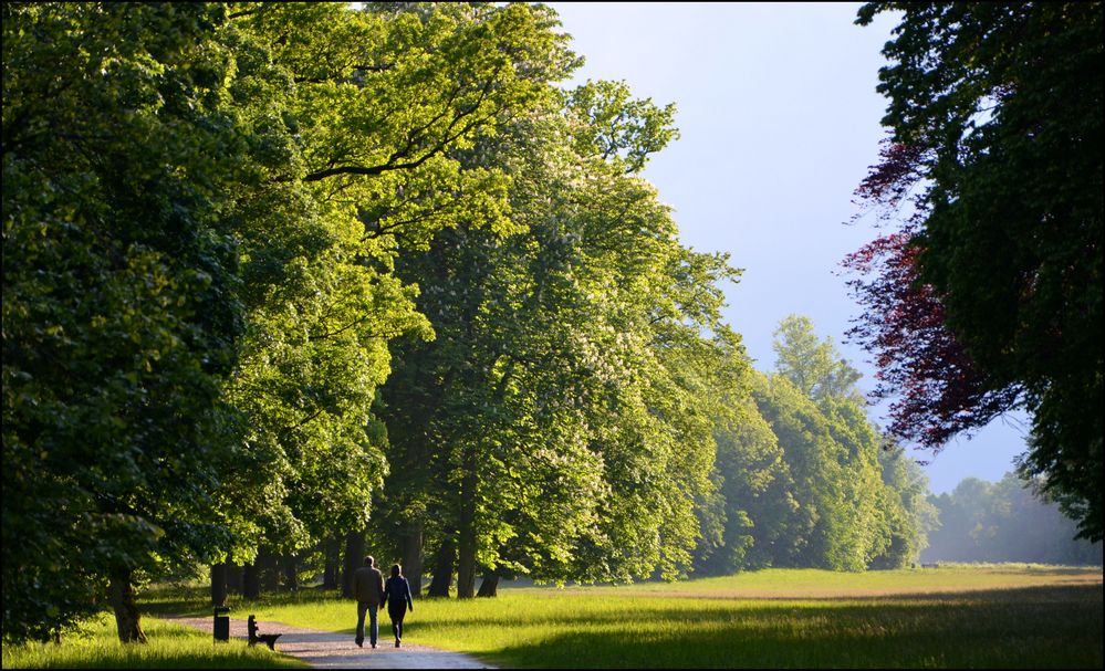 nach dem Regen