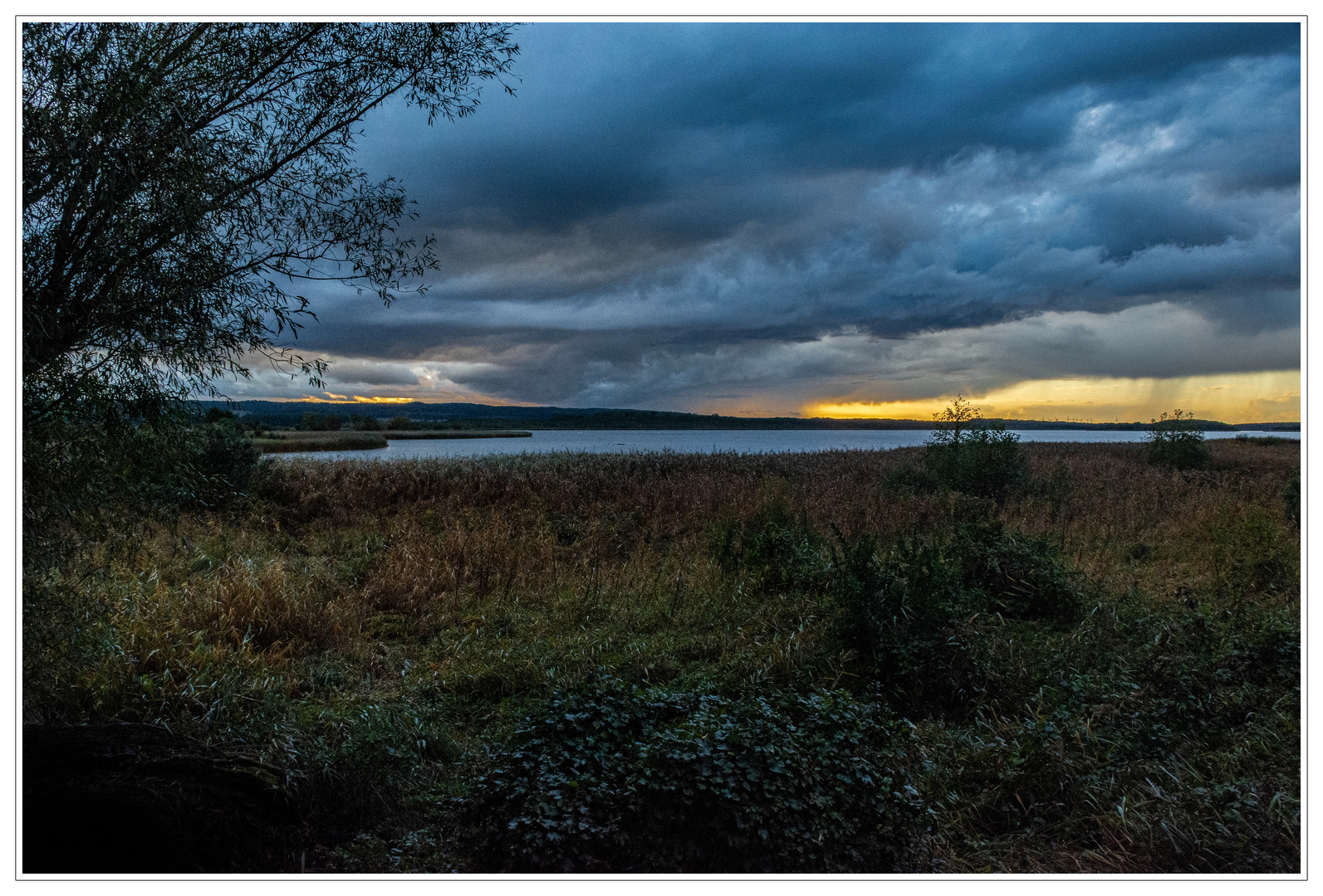 Nach dem Regen