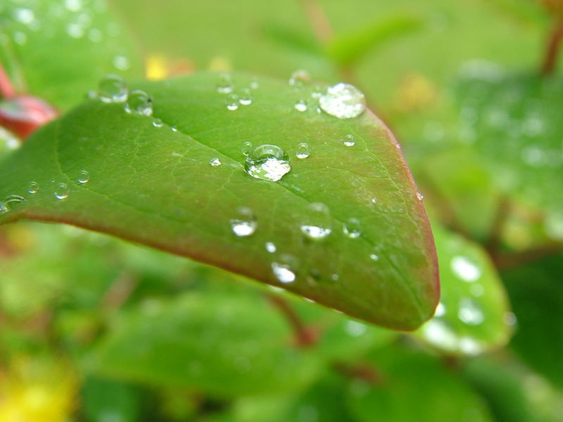 Nach dem Regen