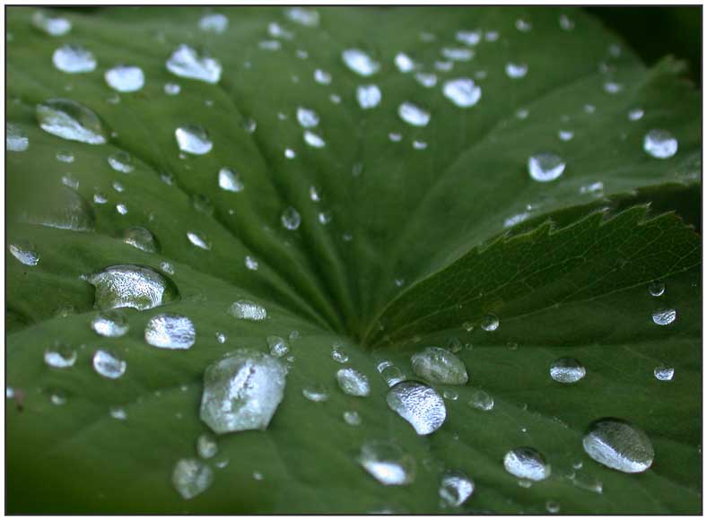 nach dem Regen...