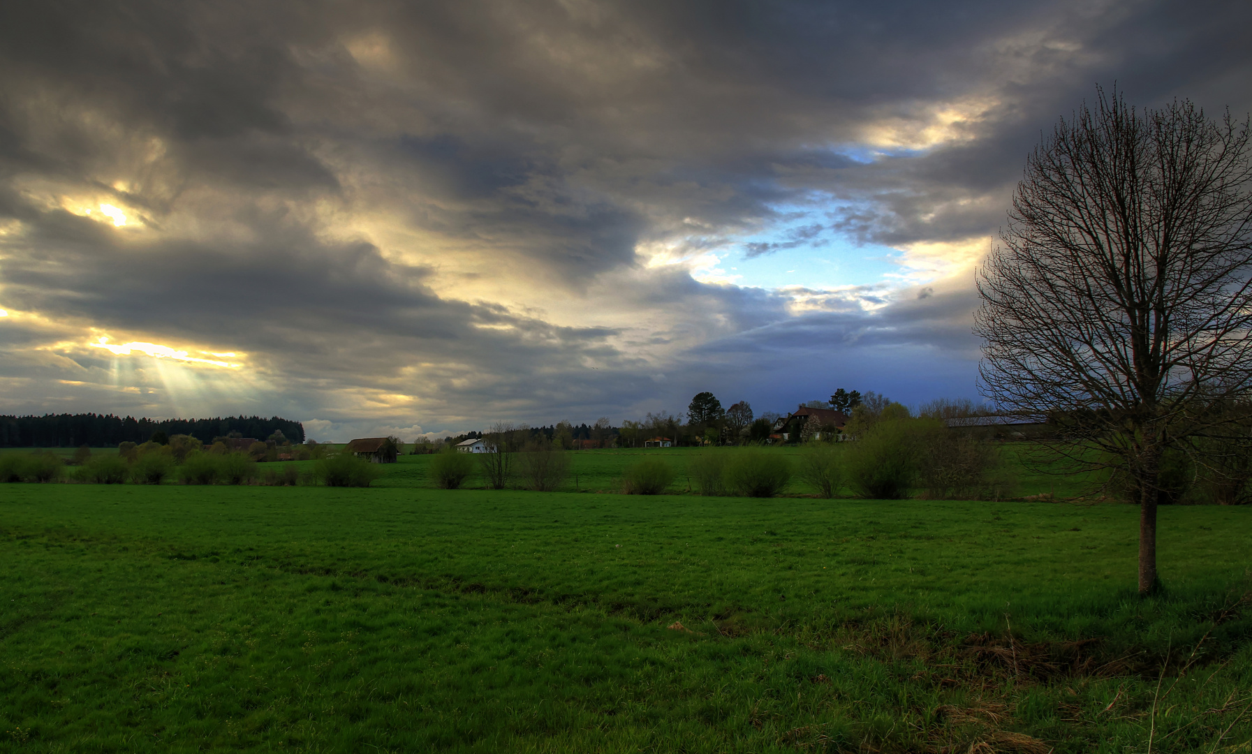 Nach dem Regen  Foto Bild  landschaft cker felder 