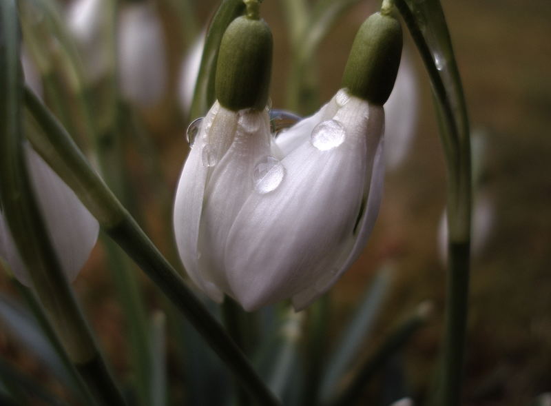 nach dem regen