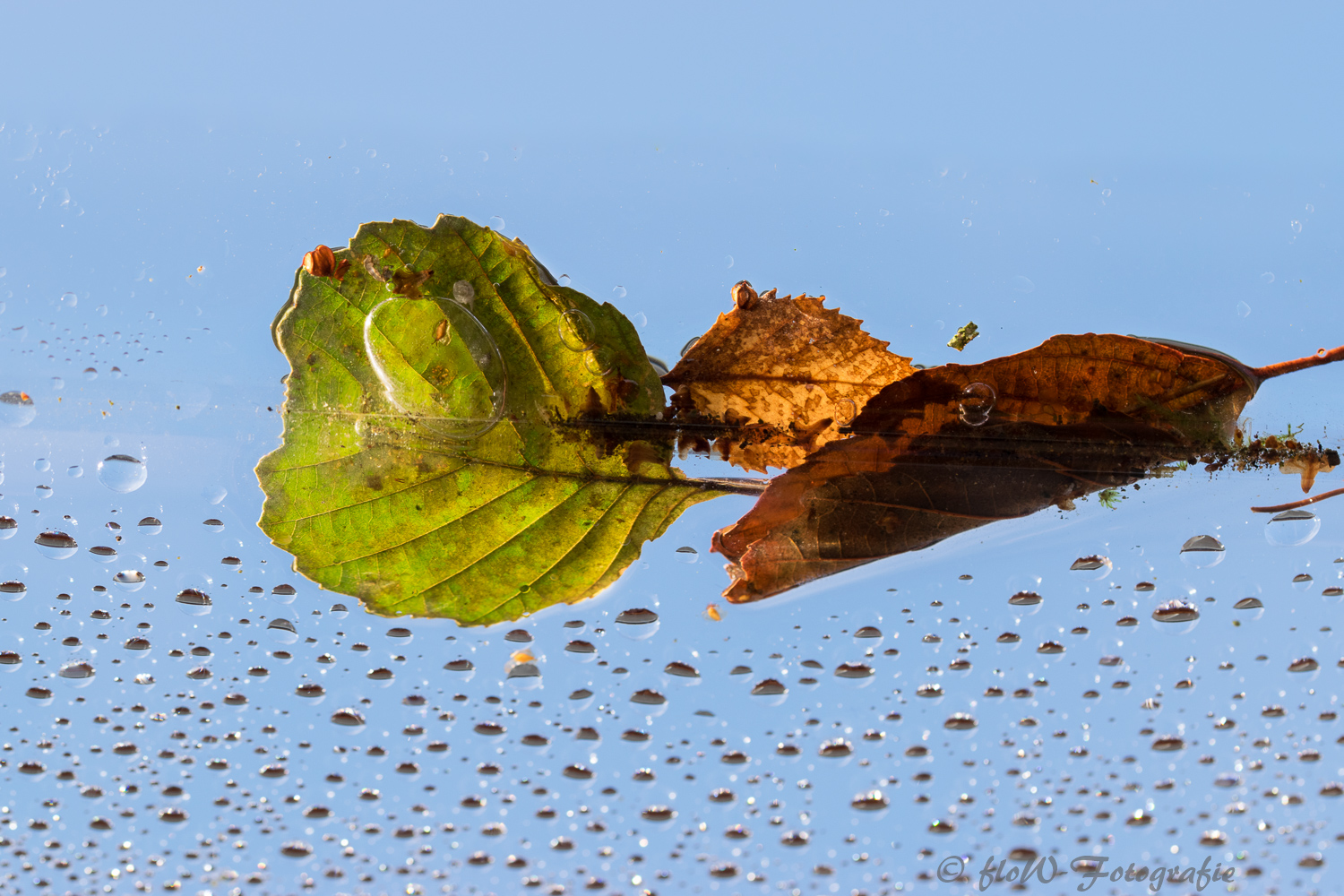 nach dem Regen