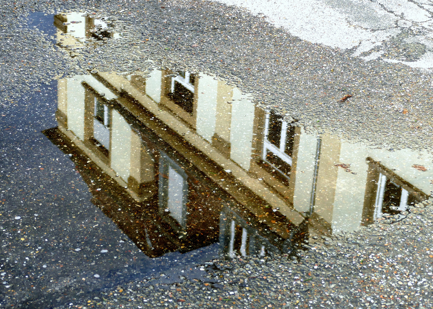 nach dem Regen