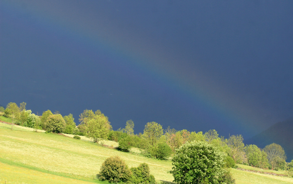 Nach dem Regen