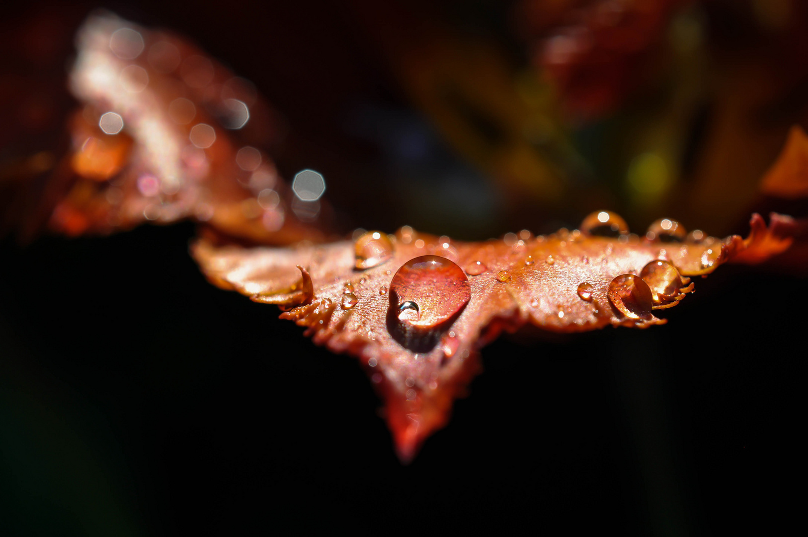 Nach dem Regen