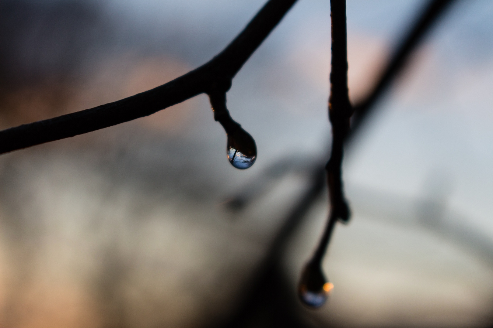 Nach dem Regen