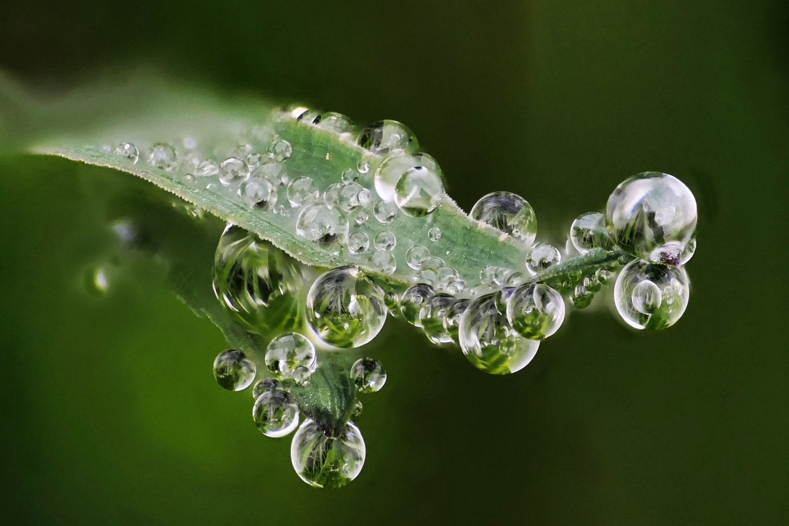 Nach dem Regen