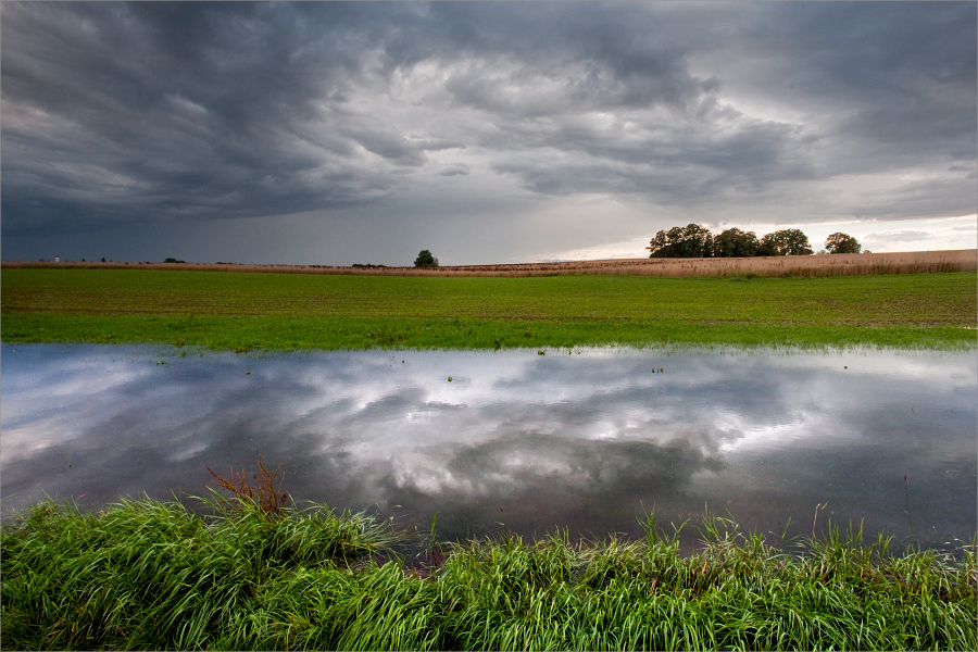 Nach dem Regen