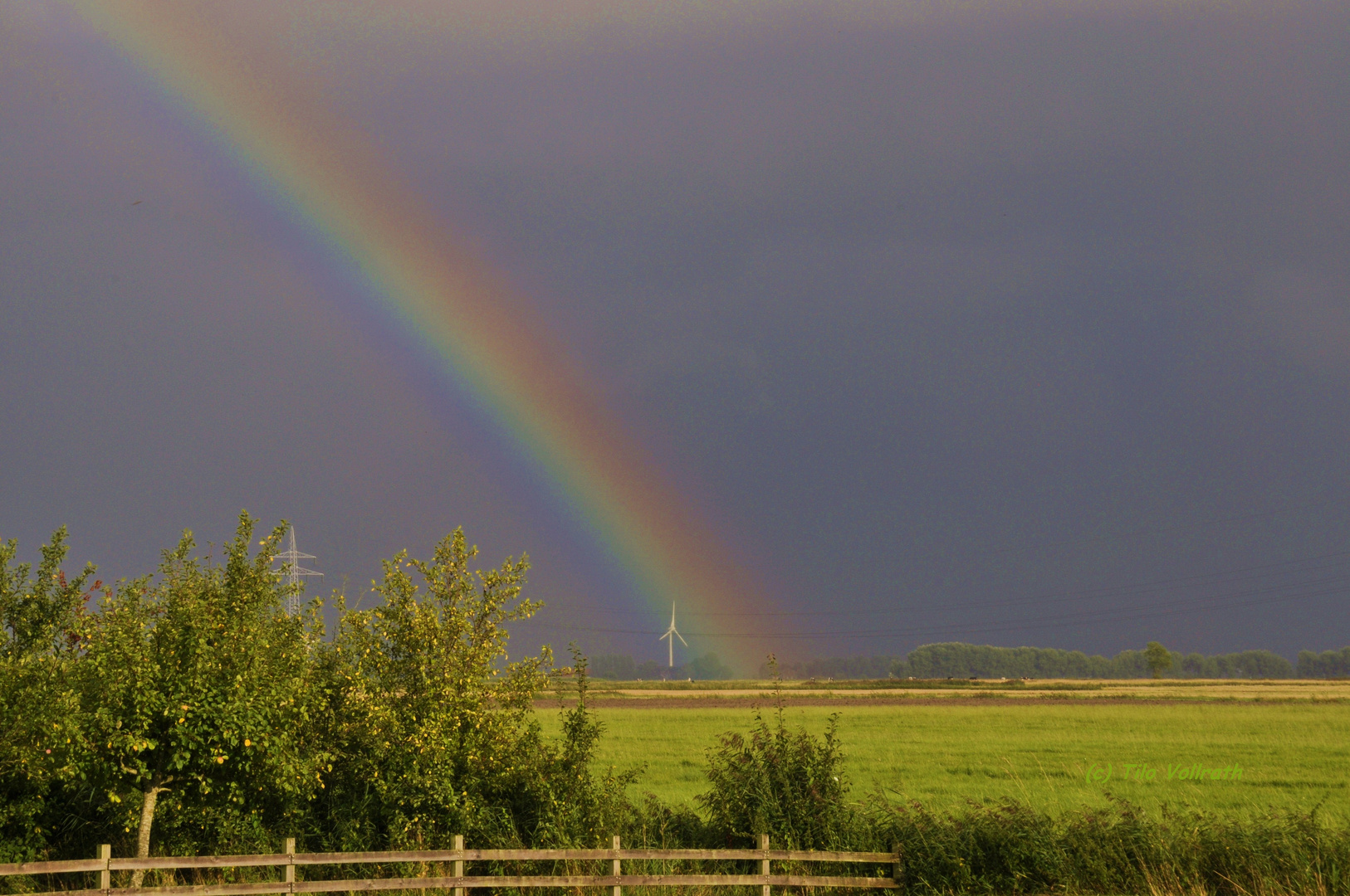 Nach dem Regen .....