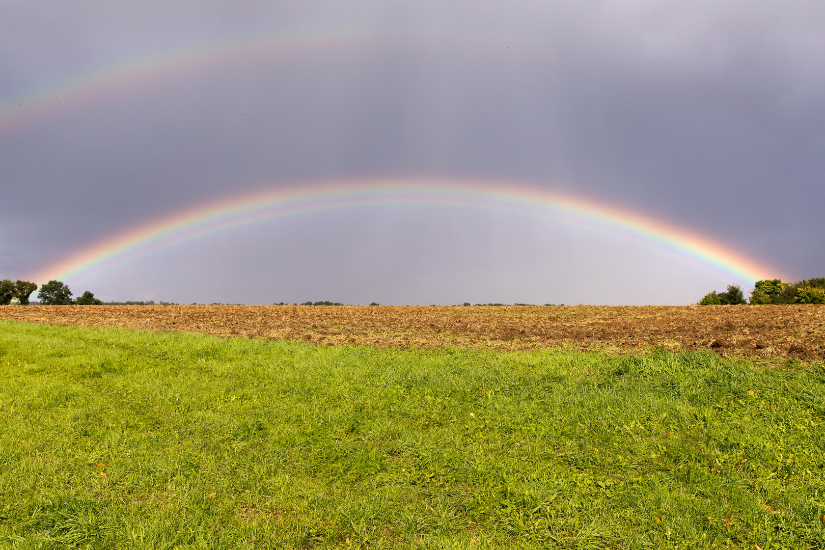 Nach dem Regen