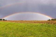 Nach dem Regen