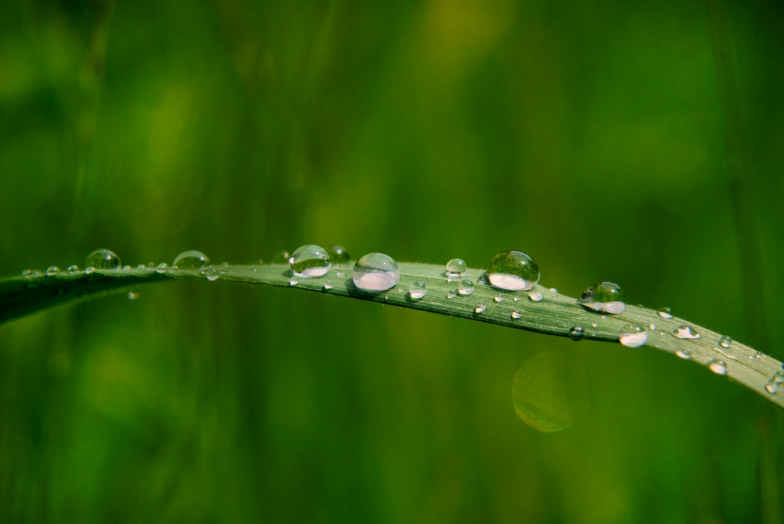 Nach dem Regen.. 