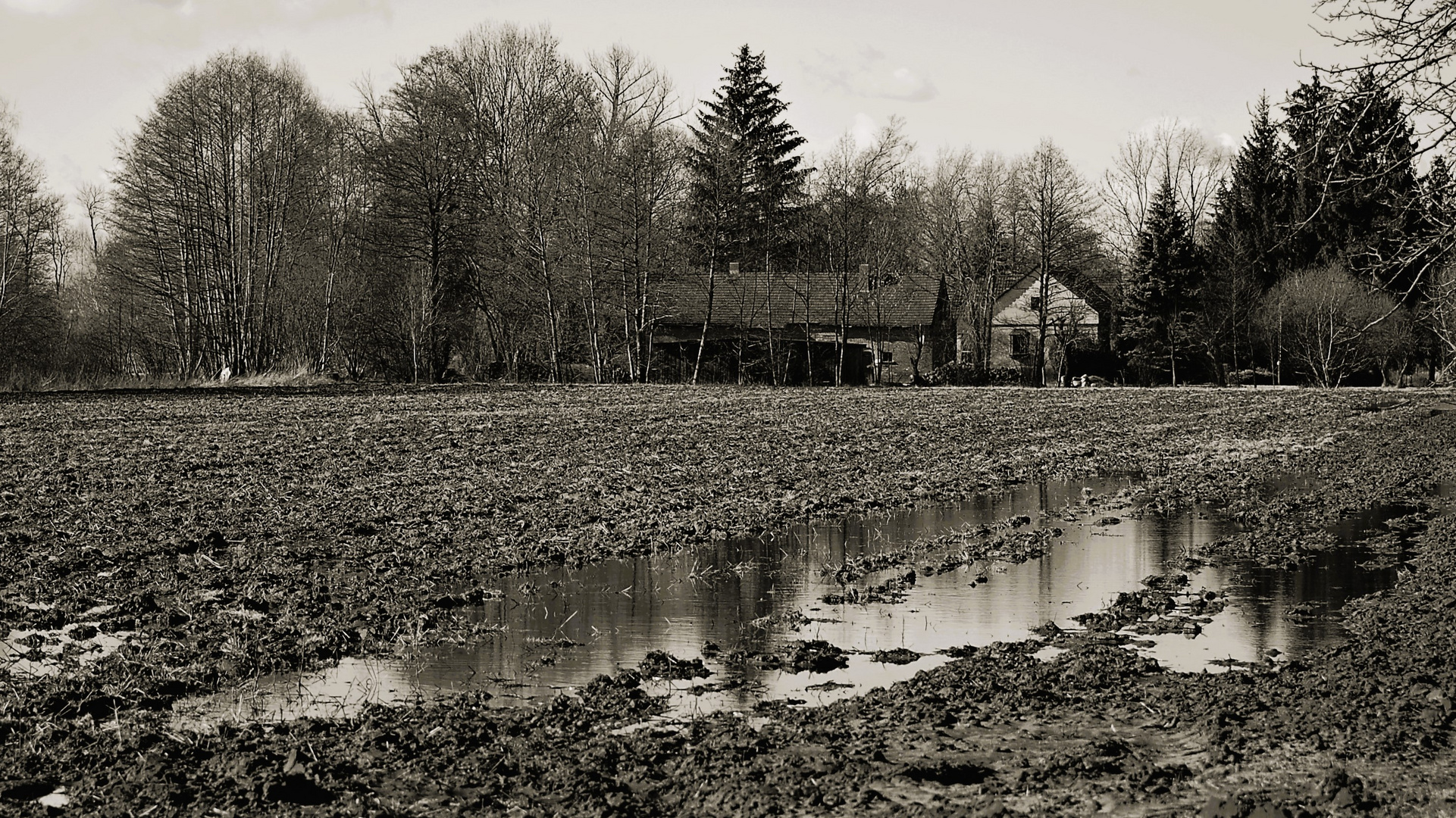 nach dem Regen ...