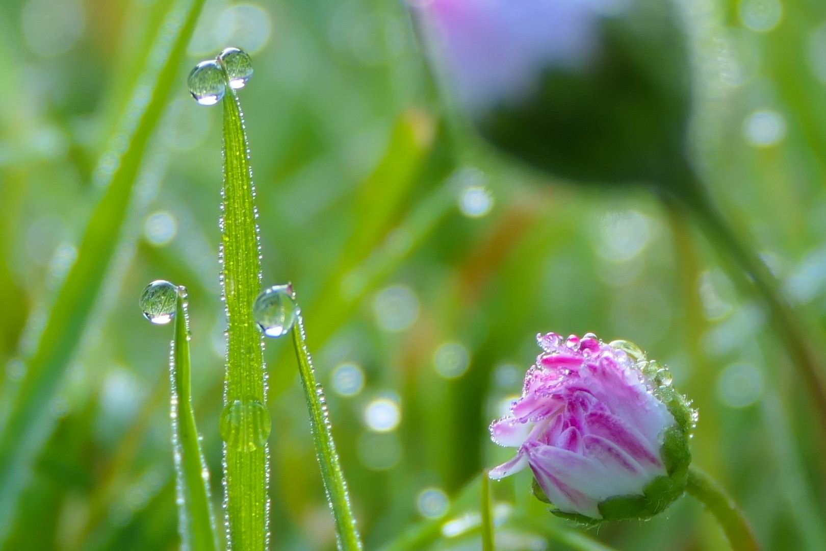 Nach dem Regen