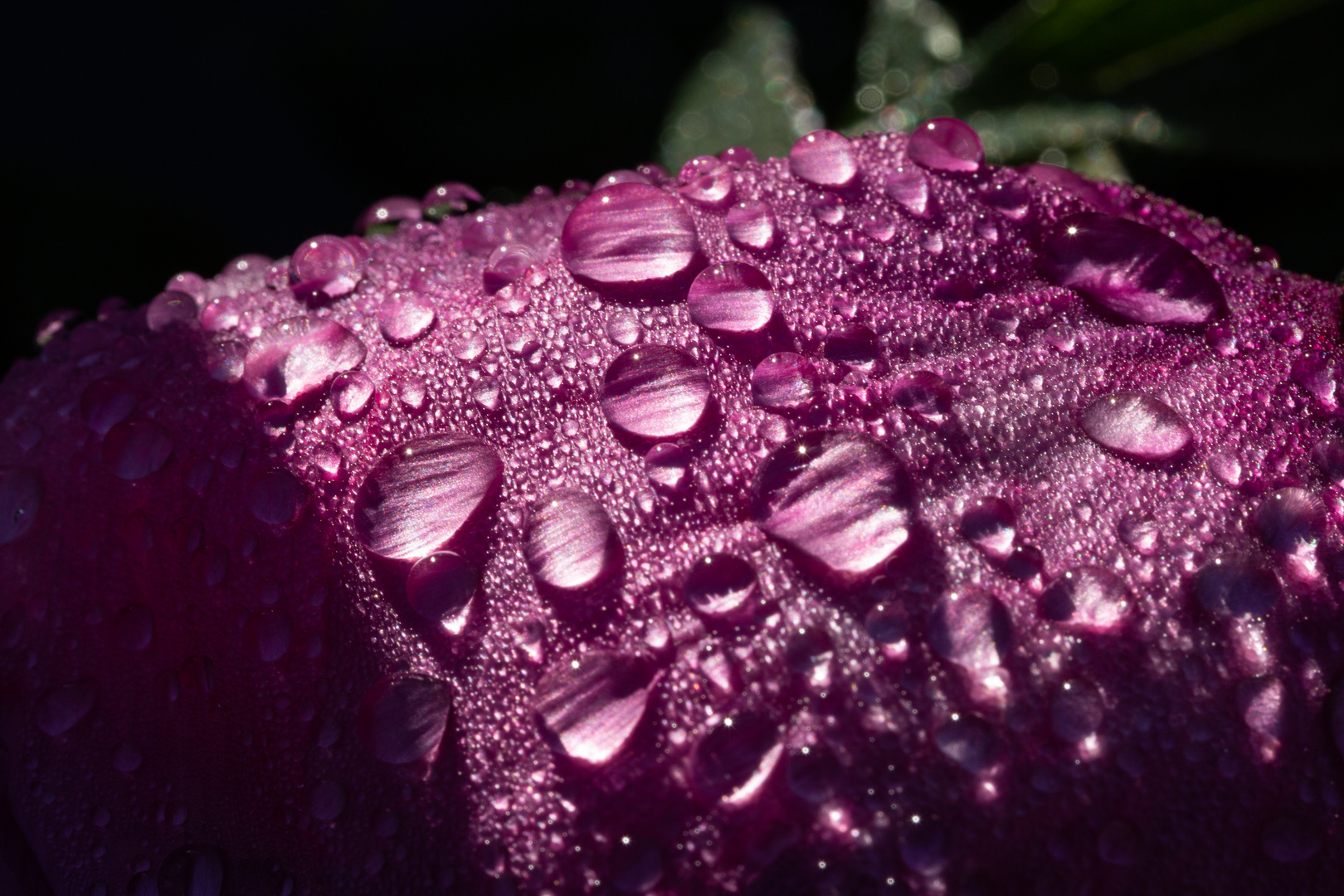 Nach dem Regen