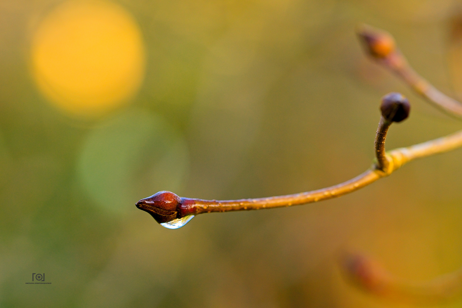 Nach dem Regen