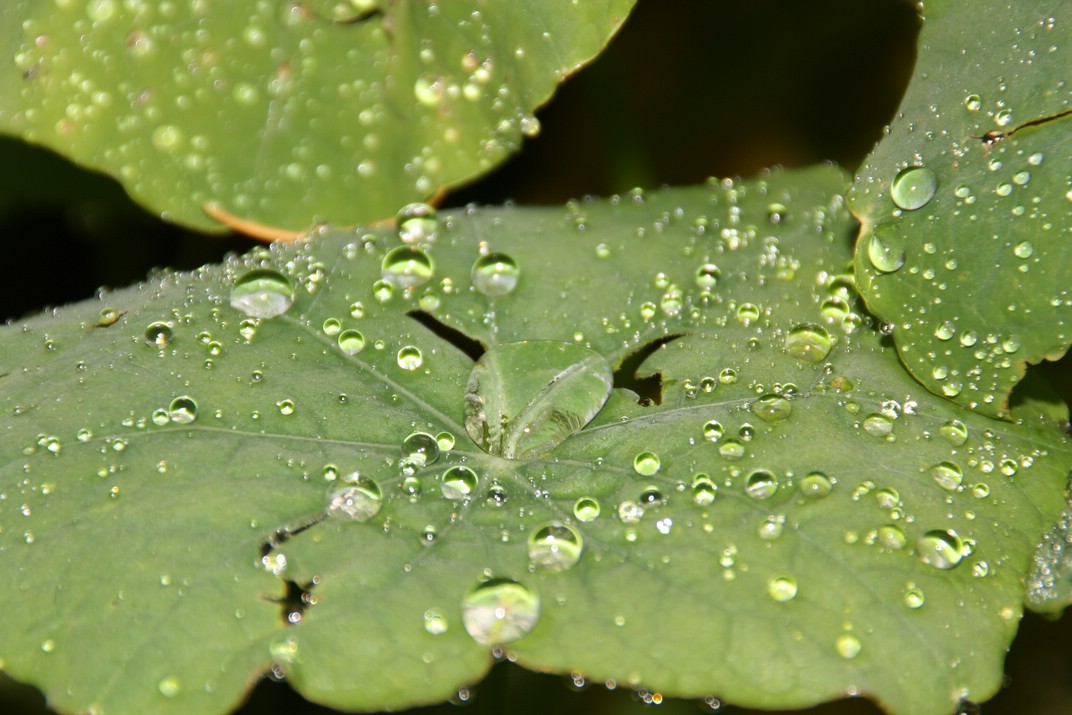 Nach dem Regen