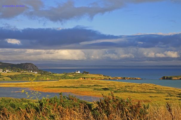 ...nach dem Regen...