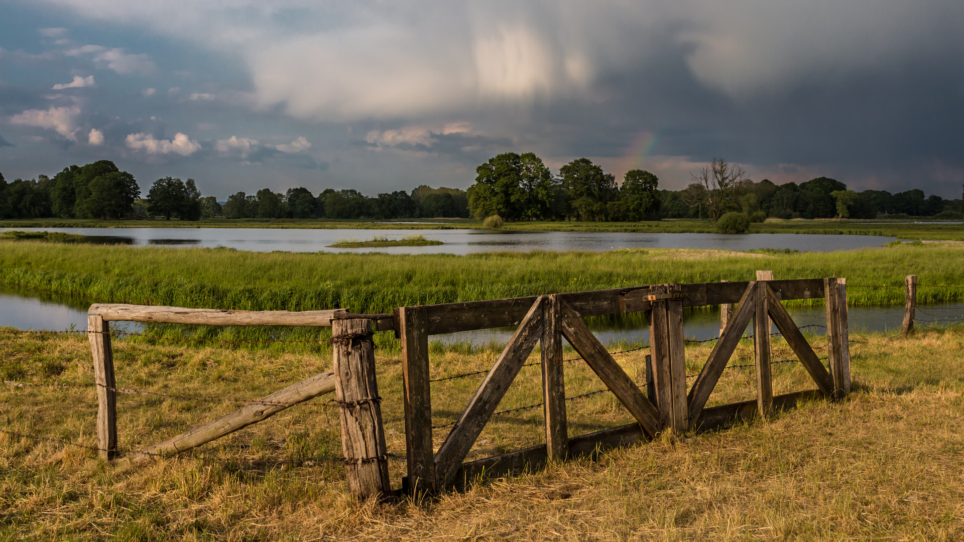 Nach dem Regen